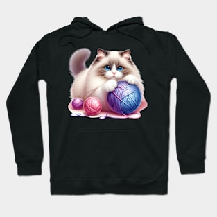 Cute Fluffy Ragdoll Cat Hoodie